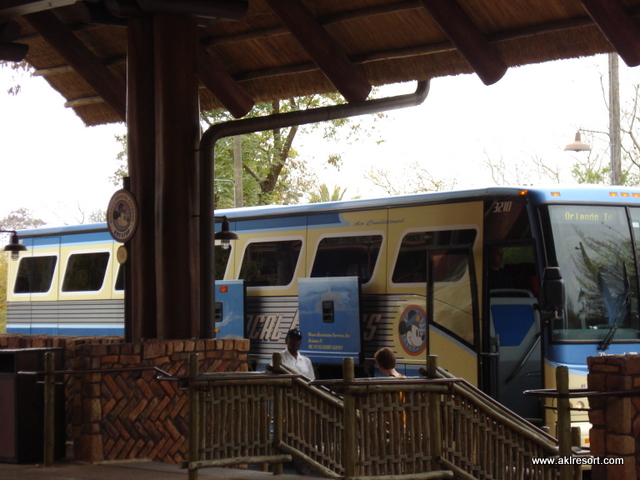 Magical Express bus stop